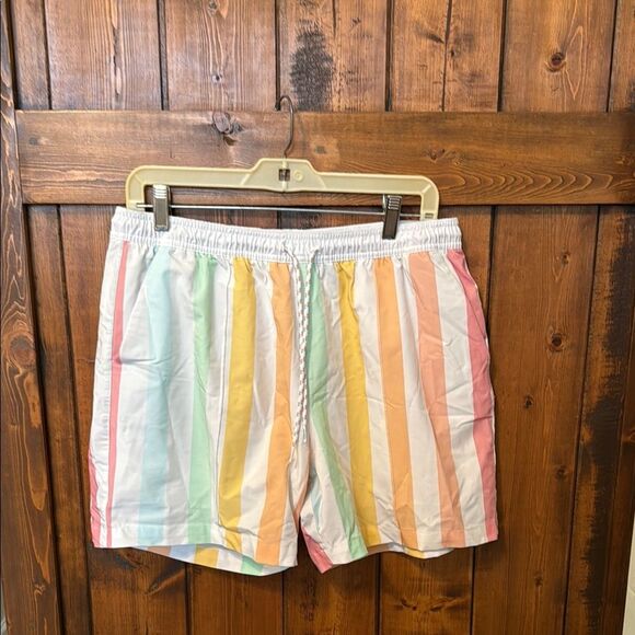 Chubbies Abstract Pastel Vertical Stripe Swim Shorts Trunks Men’s, Size XL, 5.5” - Picture 1 of 11